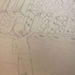 PickingPlums IMG 0228