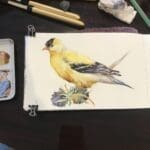 IMG 0411