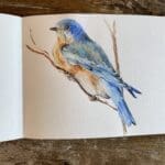IMG 0936