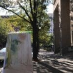 IMG 4793