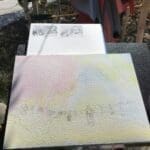 IMG 7959