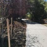 IMG 7960