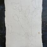 Pencil sketch of cactus painting