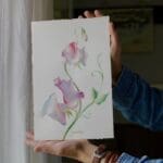 Watercolor of three sweet peas in pink, blue and white.